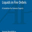 Identifying Ignitable Liquids in Fire Debris: A Guideline for Forensic Experts