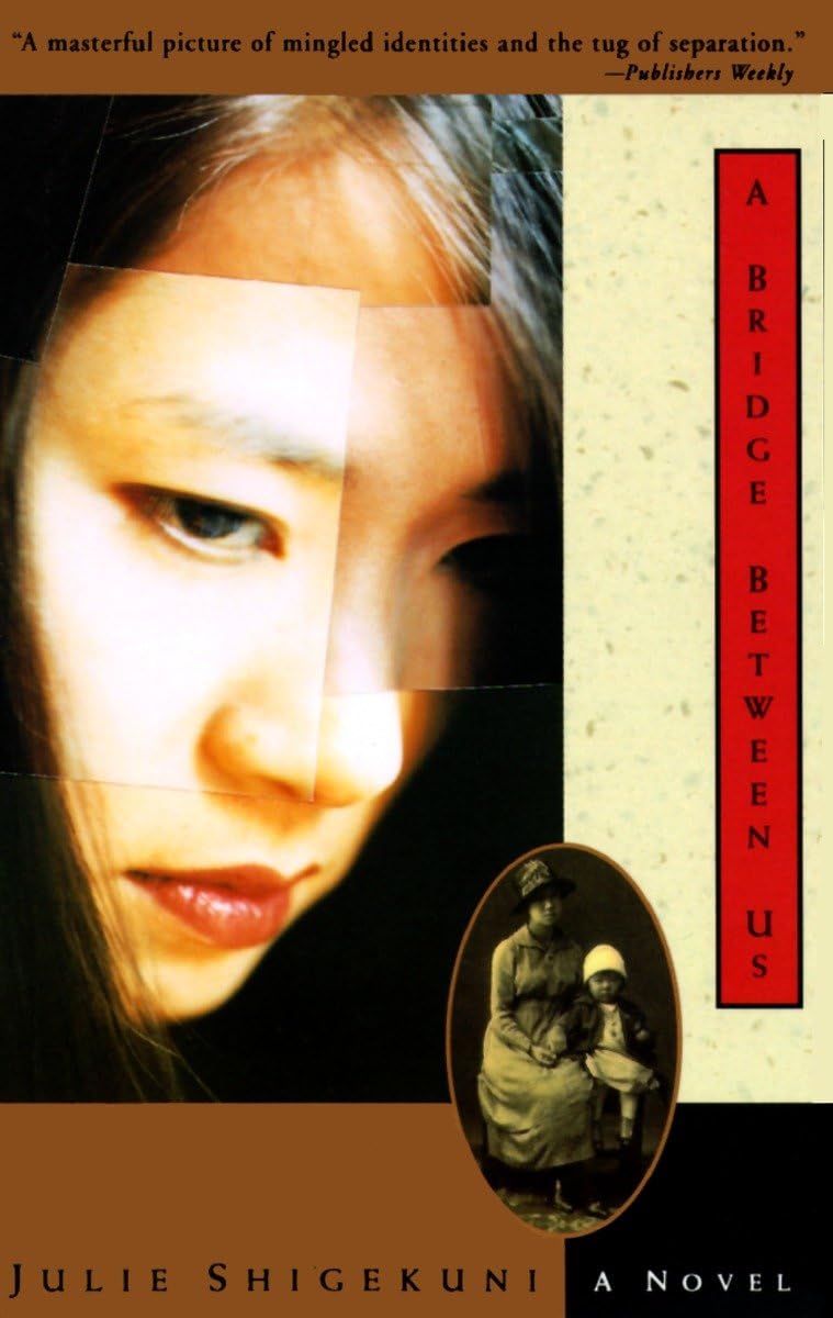 A Bridge Between Us: A Novel