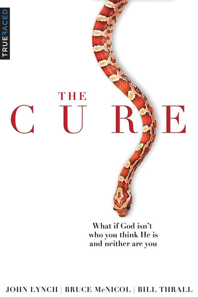The Cure: What If God Isnt Who You Think He Is and Neither Are You?