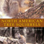 North American Tree Squirrels