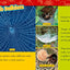 NAT GEO READERS - SPIDERS