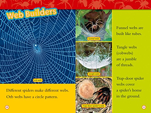 NAT GEO READERS - SPIDERS