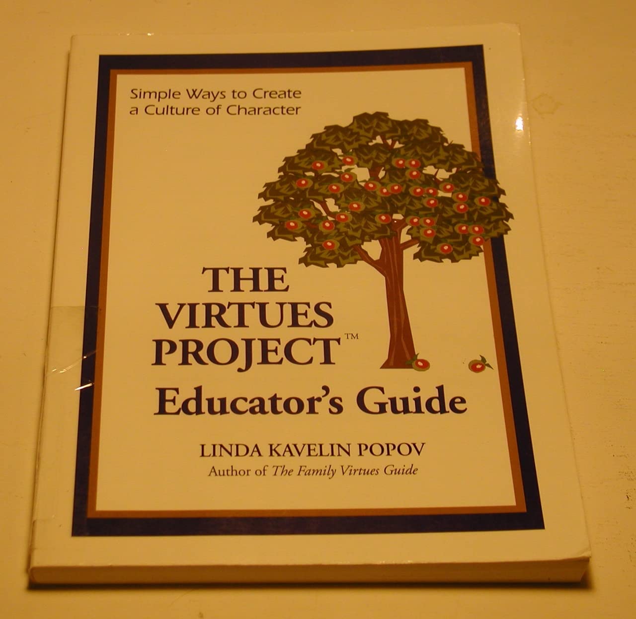 The Virtues Project Educator's Guide: Simple Ways to Create