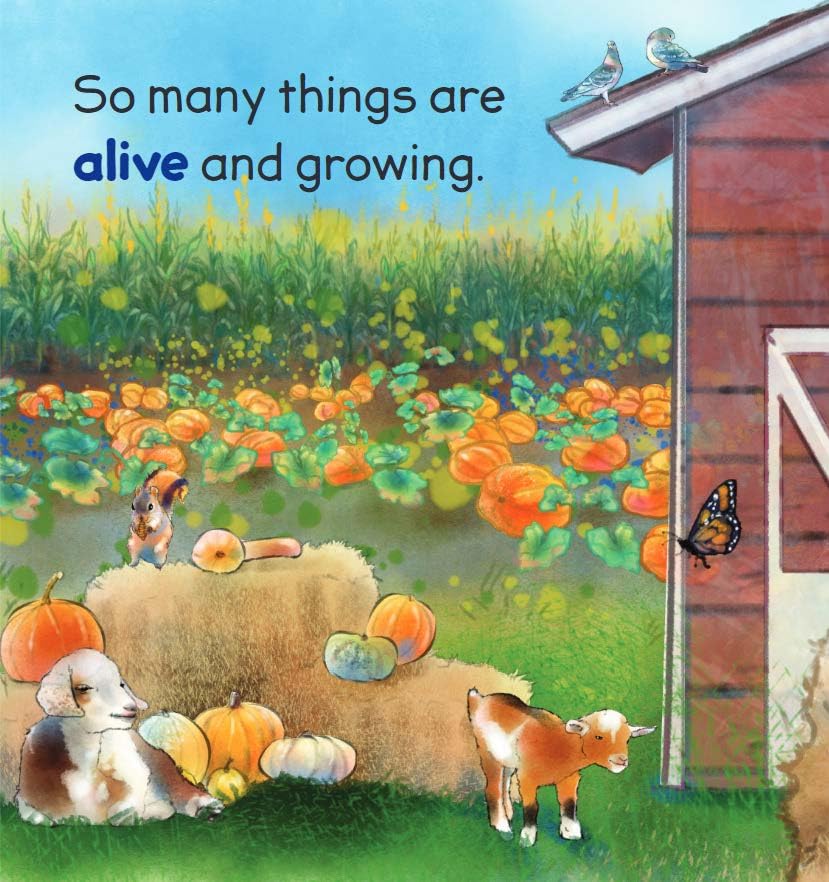 I Grow: A Book About Physical, Social, and Emotional Growth (Learning About Me & You Board Books)