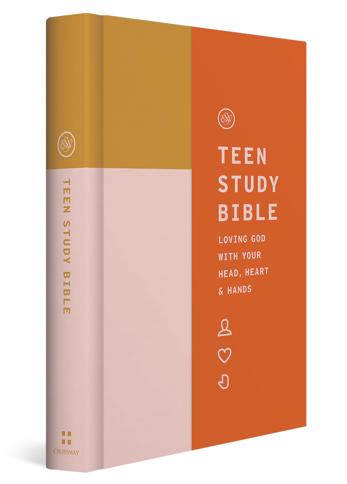 ESV Teen Study Bible (Hardcover, Desert Sun): Holy Bible, English Standard Version