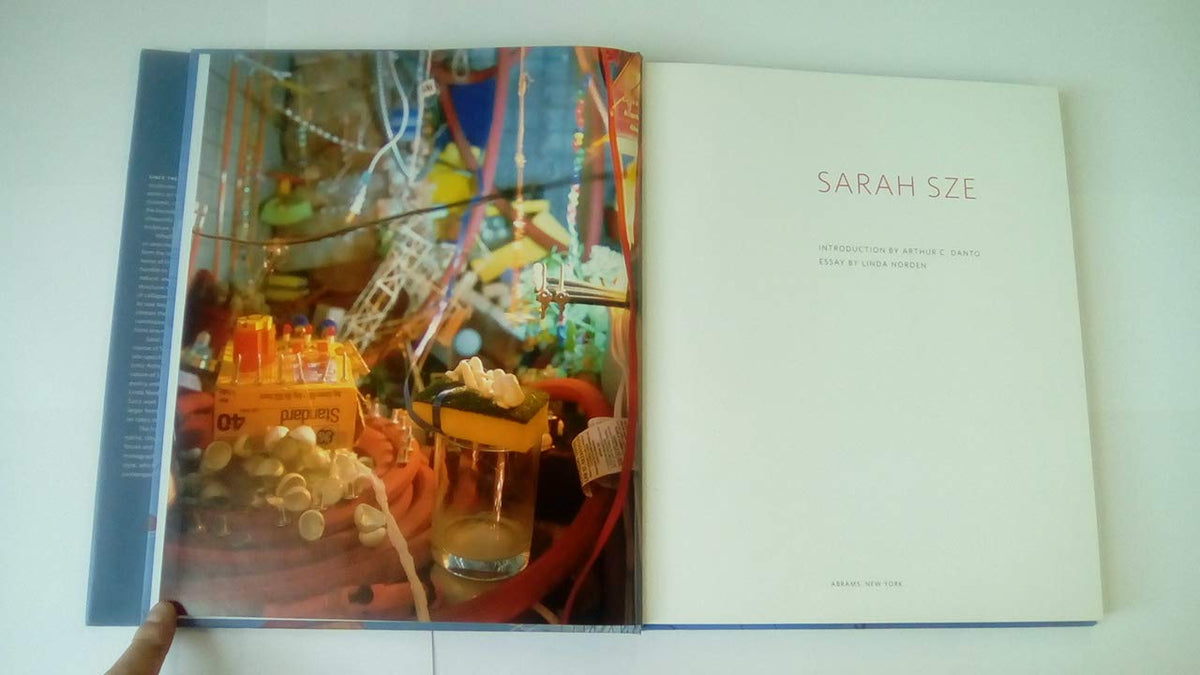 Sarah Sze