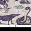 The Complete Fables (Penguin Classics)
