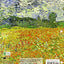 Raven Biology of Plants