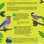 The Backyard Bird Watching Book for Kids: An Interactive Guide to Bird Watching - A Fun and Easy Way to Identify the Most Common Backyard Birds