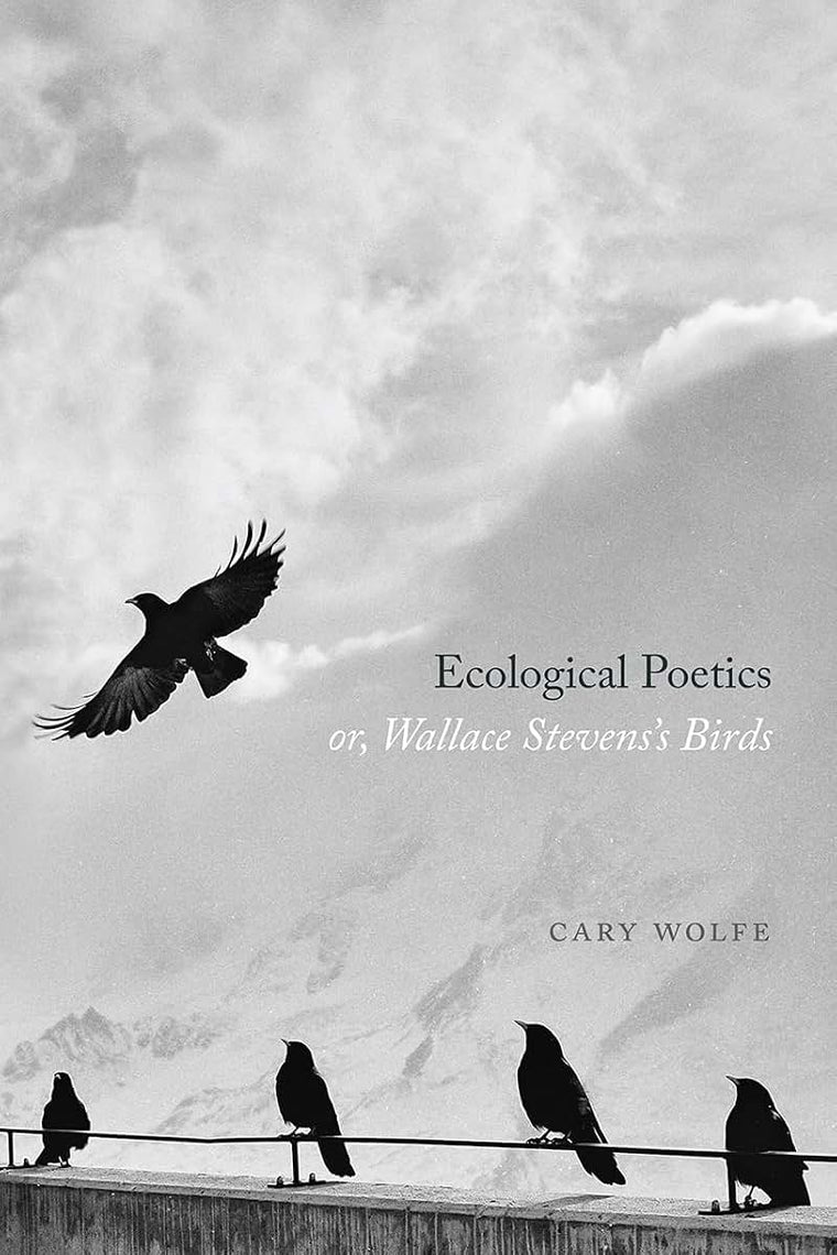 Ecological Poetics; or, Wallace Stevenss Birds