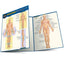 Anatomy - Directions, Planes, Movements & Regions: a QuickStudy Laminated Reference Guide