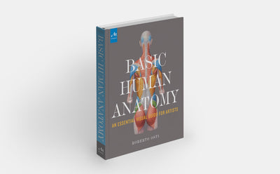 Basic Human Anatomy: An Essential Visual Guide for Artists