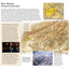 100 Great Journeys