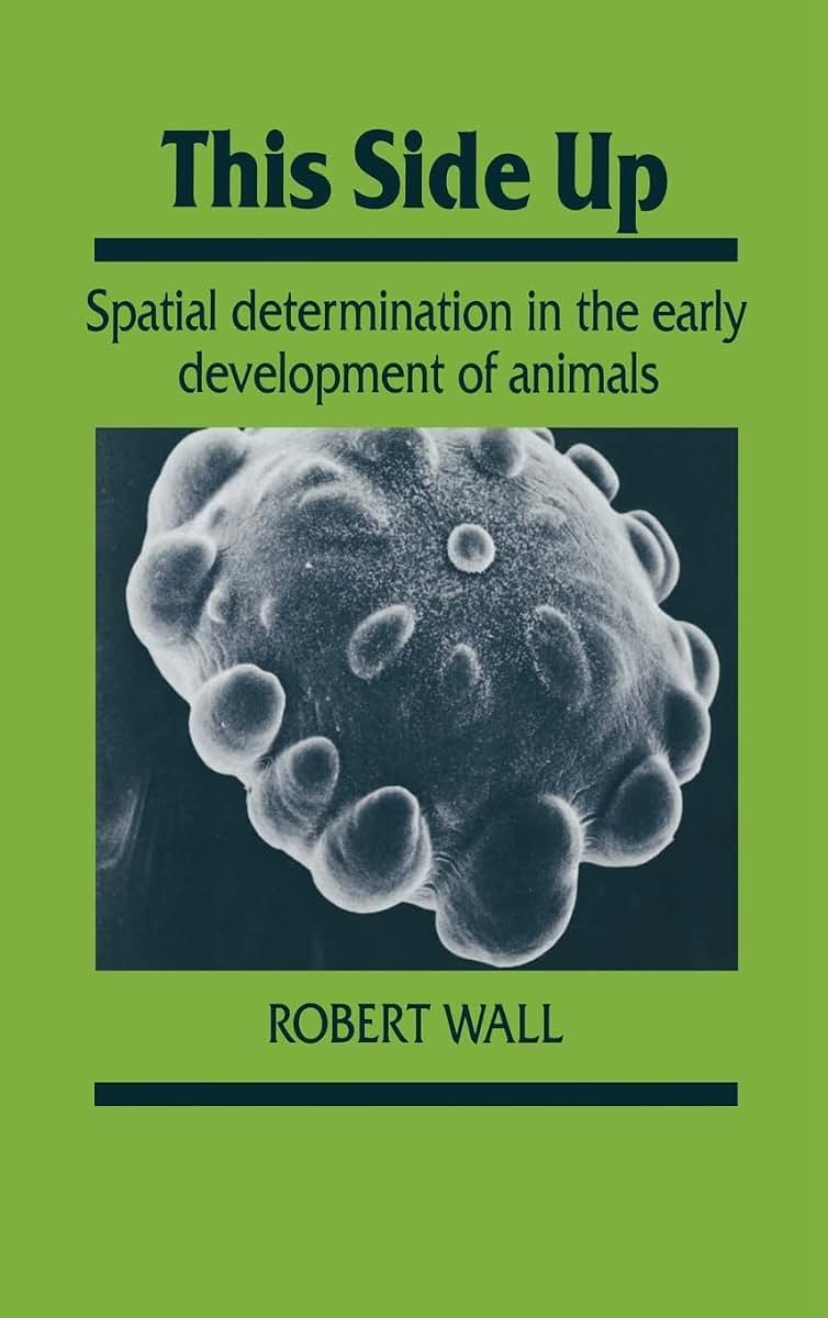This Side Up: Spatial Determination in the Early Development of Animals (Developmental and Cell Biology Series, Series Number 24)