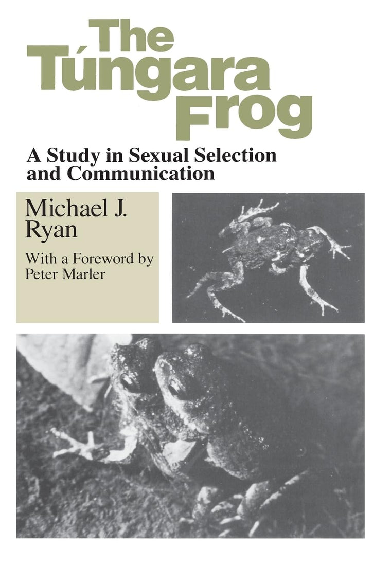 The Tungara Frog: A Study in Sexual Selection and Communication
