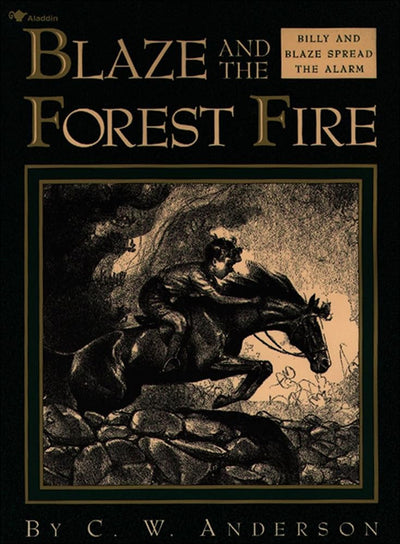 Blaze and the Forest Fire (Billy and Blaze Books (Pb))