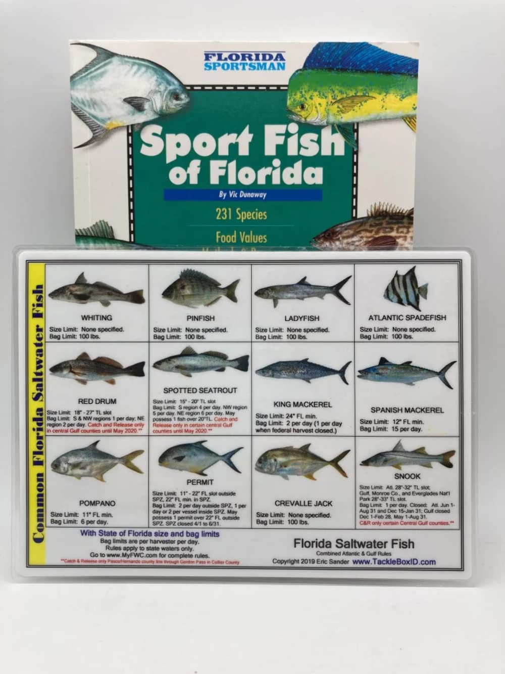 Sport Fish of Florida