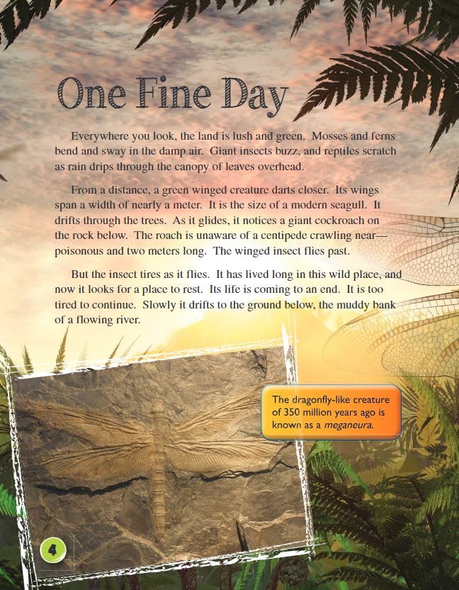The Story of Fossil Fuels (Science Readers: Content and Literacy)