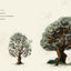If the Tree Could Speak: The Story of the Cross That Saw It All