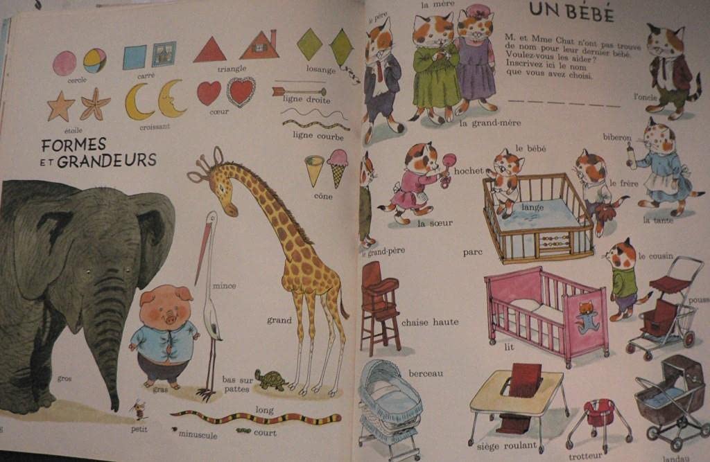 Le Livre des Mots / Best Word Book (French Edition)