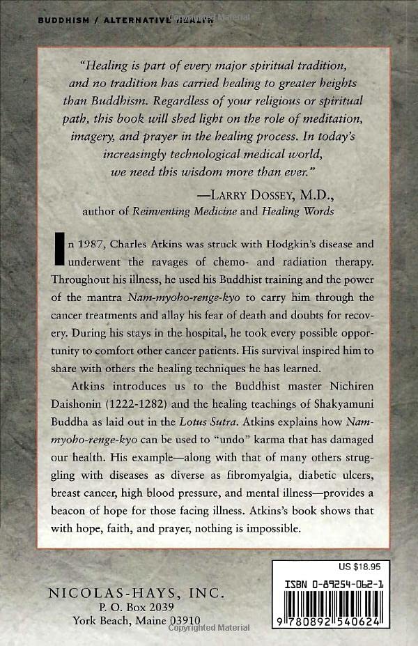 Modern Buddhist Healing: A Spiritual Strategy for Transforming Pain, Dis-Ease, and Death