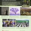 World Regional Geography: Global Patterns, Local Lives