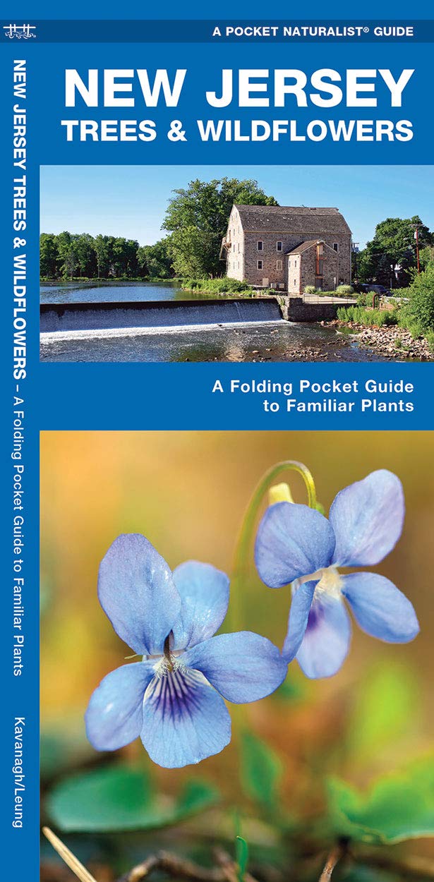 New Jersey Trees & Wildflowers: A Folding Pocket Guide to Familiar Plants (Wildlife and Nature Identification)