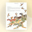 Girl Who Loved Wild Horses (Richard Jackson Books (Atheneum