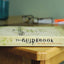 The Guidebook: The NRSV Student Bible