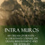 Intra Muros: My Dream of Heaven - A Christian's Counsel on Death, Bereavement and the Afterlife (Hardcover)
