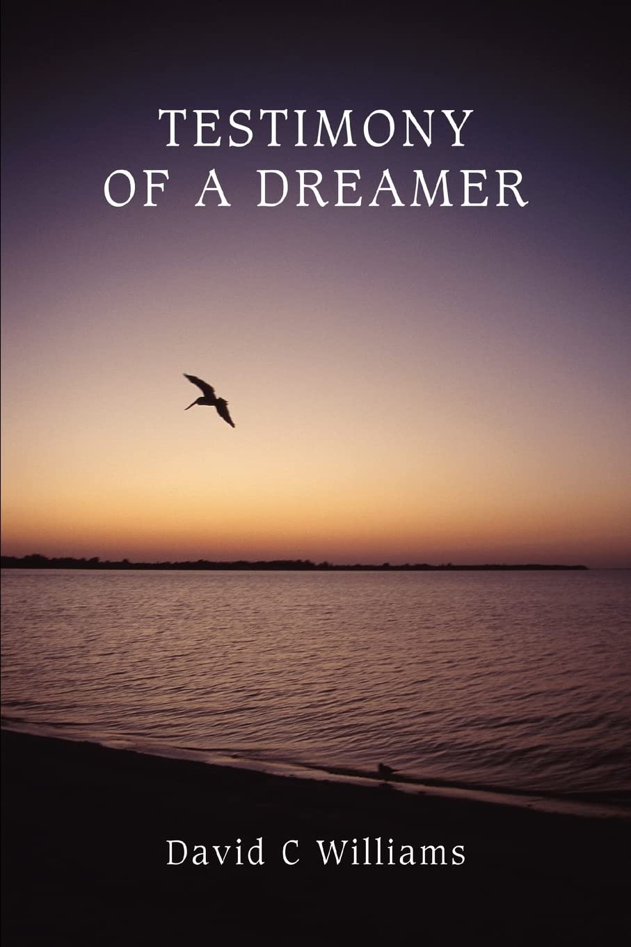Testimony Of A Dreamer