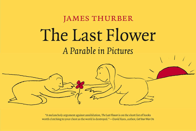 The Last Flower: A Parable in Pictures