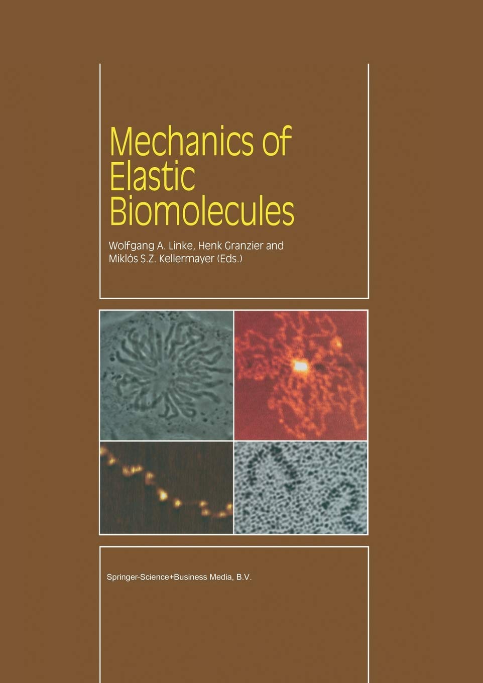Mechanics of Elastic Biomolecules