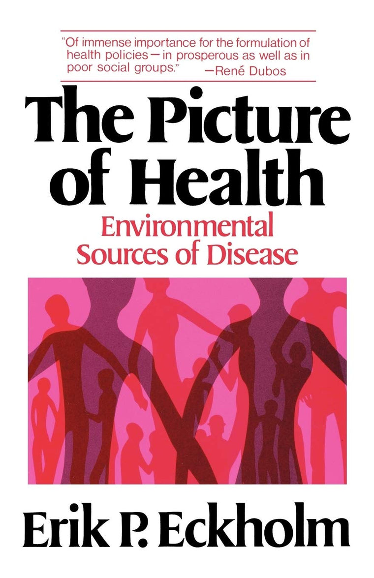 The Picture of Health: Environmental Sources of Disease