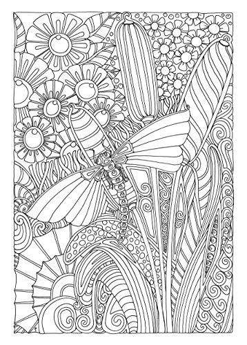 Creative Haven Entangled Dragonflies Coloring Book (Adult Coloring Books: Insects)
