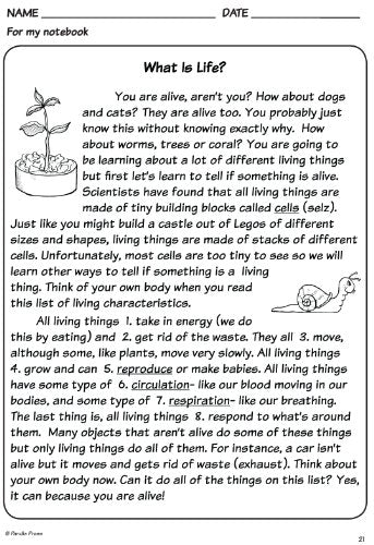 R.E.A.L. Science Odyssey- Life (level one) (R.E.A.L. Science -Read, Explore, Absorb & Learn Science)
