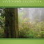 George Winston Solo Piano Collection