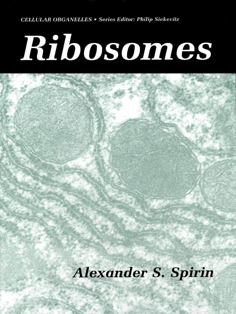 Ribosomes (Cellular Organelles)
