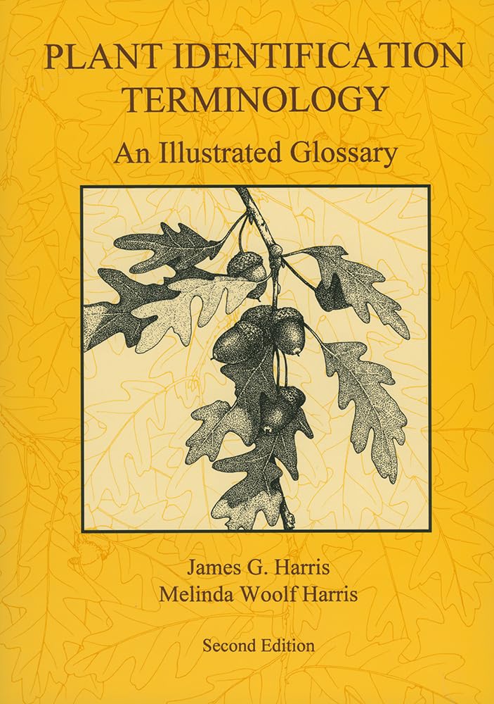 Plant Identification Terminology: An Illustrated Glossary