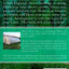 Secret Greenhouse of Survival: How to Build the Ultimate Homestead & Prepper Greenhouse (Secret Garden of Survival)