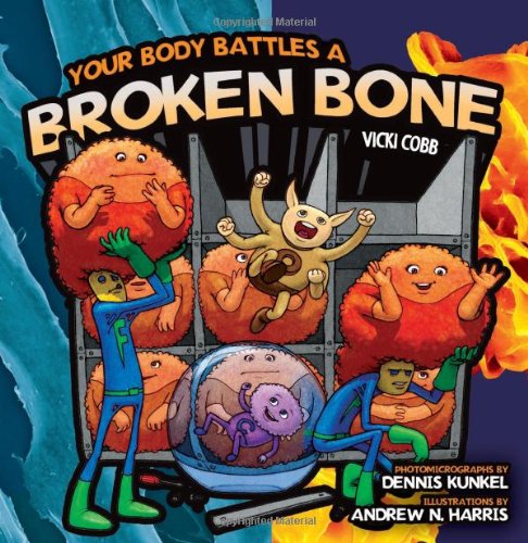 Your Body Battles a Broken Bone