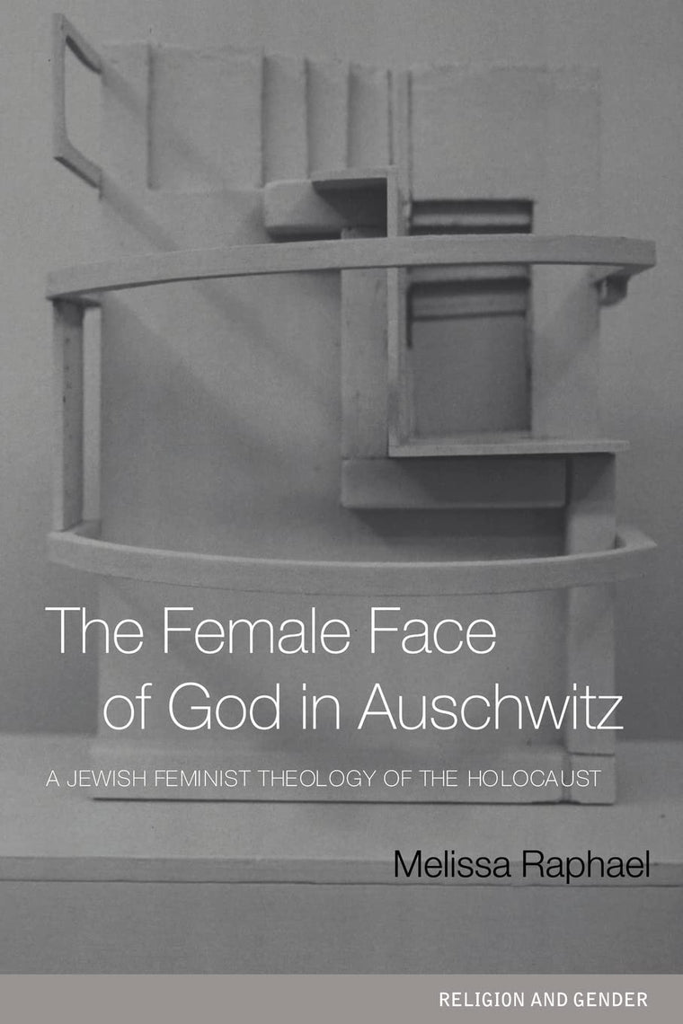 The Female Face of God in Auschwitz: A Jewish Feminist Theology of the Holocaust (Religion and Gender)