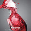 Alcohol (Routledge Series for Creative Teaching and Learning in Anthropology)
