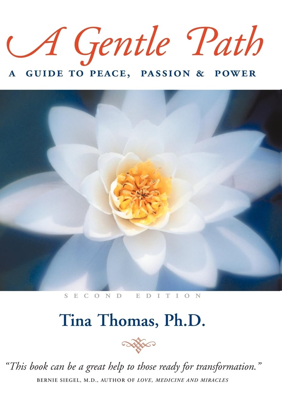A Gentle Path: A Guide to Peace, Passion & Power: Second Edition