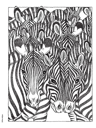 Creative Haven NatureScapes Coloring Book (Adult Coloring Books: Nature)