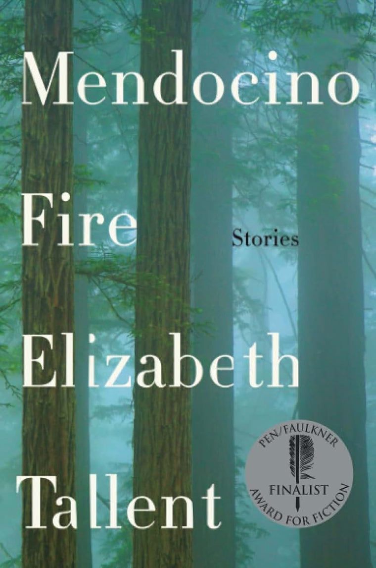 MENDOCINO FIRE