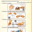 Tajweed Illustrated New Edition One Volume
