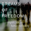 Other Dreams of Freedom: Religion, Sex, and Human Trafficking (AAR Academy Series)