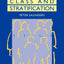 Social Class and Stratification (Society Now)
