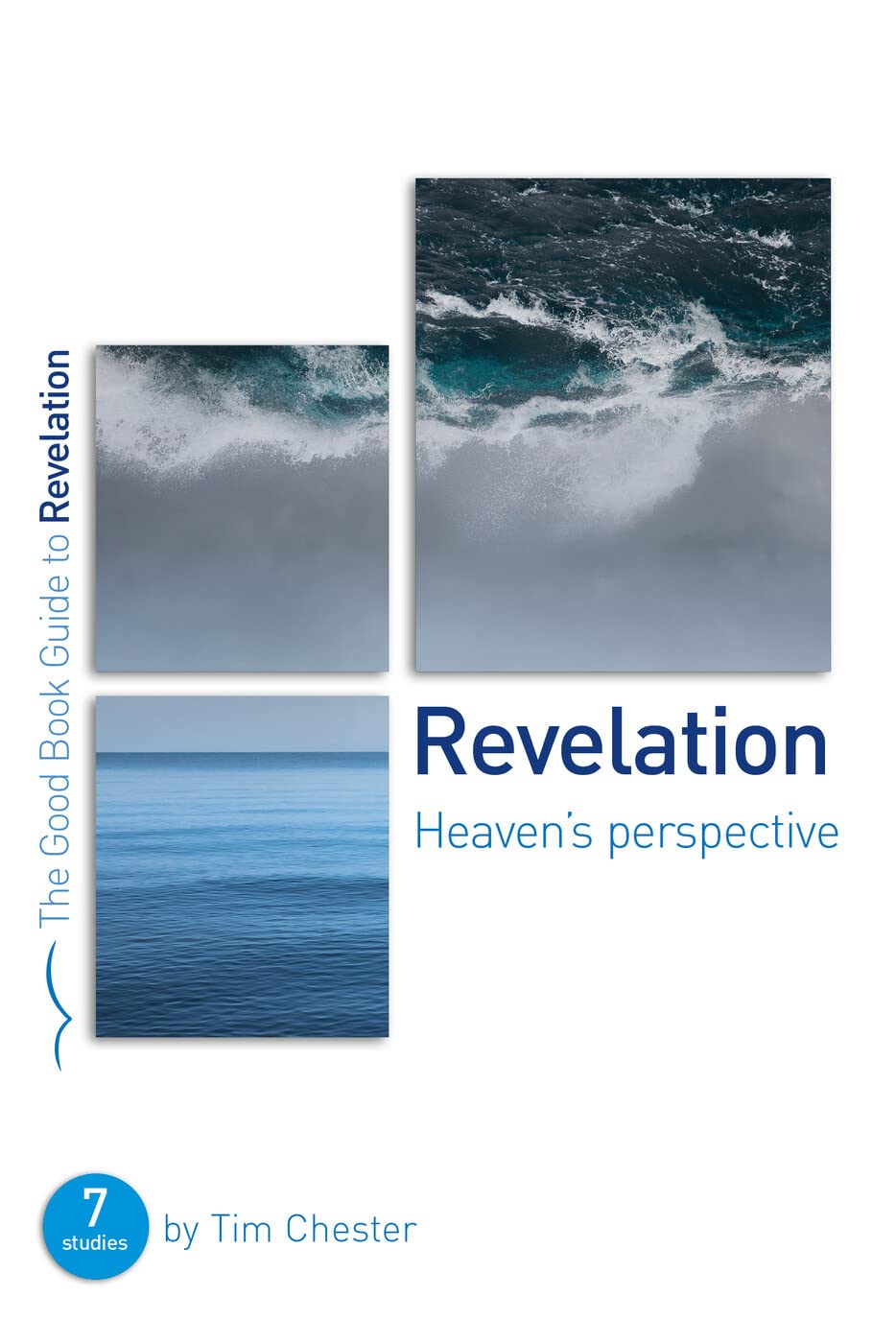 Revelation: Heaven's perspective (Good Book Guides)